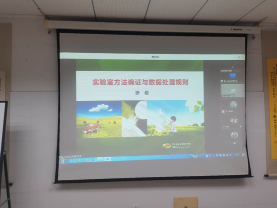 dg真人